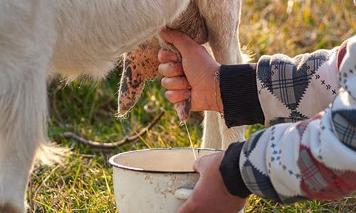 should I do this again