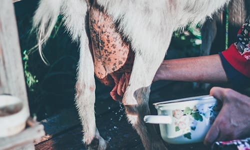 should I do this again