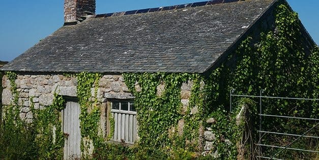 This Is The Best Camouflage For Your Off The Grid House