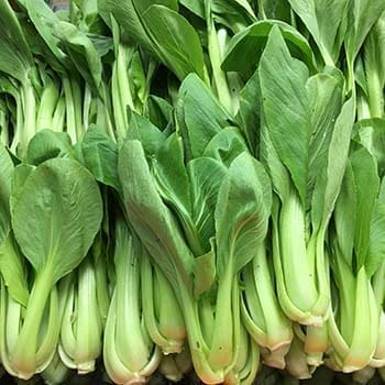 Bok Choy