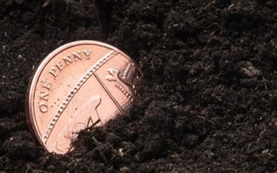 What Happens If You Bury A Penny Next To Your Plants