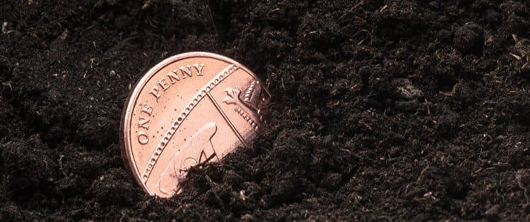 What Happens If You Bury A Penny Next To Your Plants