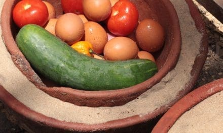 DIY Electricity Free Fridge