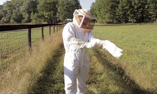 get rid of wasp nest