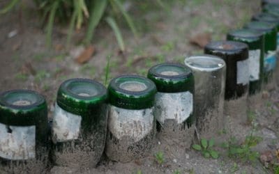 Why You Should Bury Glass Bottles In Your Garden