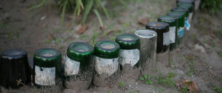 Why You Should Bury Glass Bottles In Your Garden