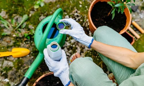 This Is Why You Should Use Hydrogen Peroxide In Your Garden