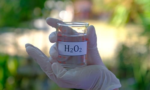 This Is Why You Should Use Hydrogen Peroxide In Your Garden