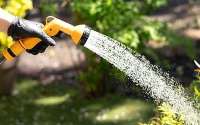 Watering Mistakes You Must Avoid This Summer