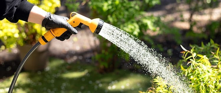 Watering Mistakes You Must Avoid This Summer