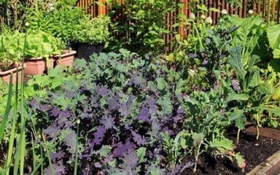 How To Grow A Weed-Free Garden