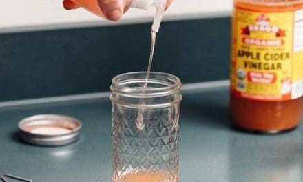 Ingenious Ways To Keep The Critters Out Of Your Pantry