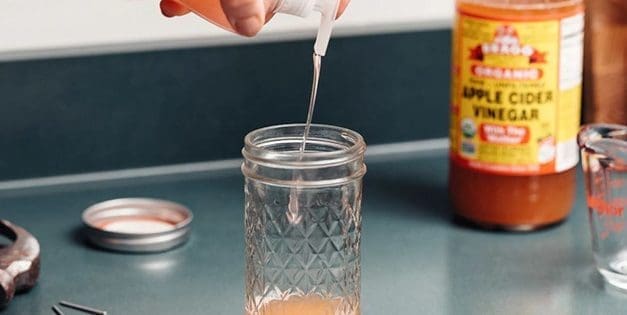 Ingenious Ways To Keep The Critters Out Of Your Pantry