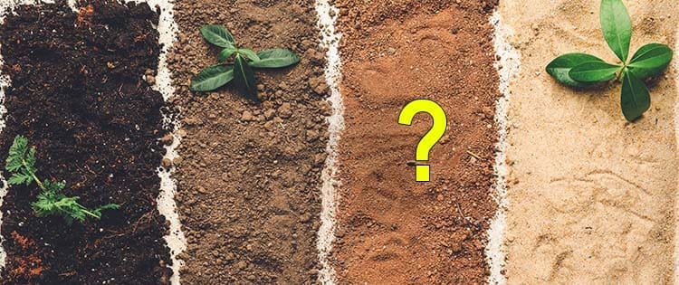 How To Choose The Best Plants For Your Soil Type