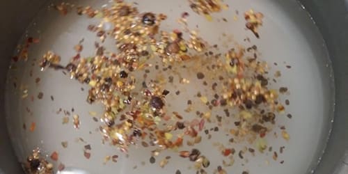 How To Pickle Watermelon Rind The Amish Way - making the brine