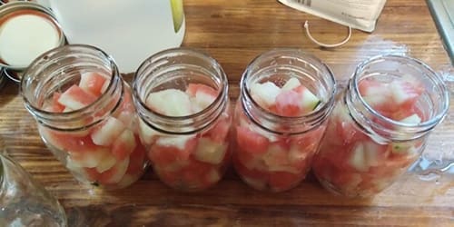 adding the watermelon in jars