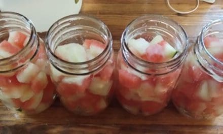 How To Pickle Watermelon Rind The Amish Way