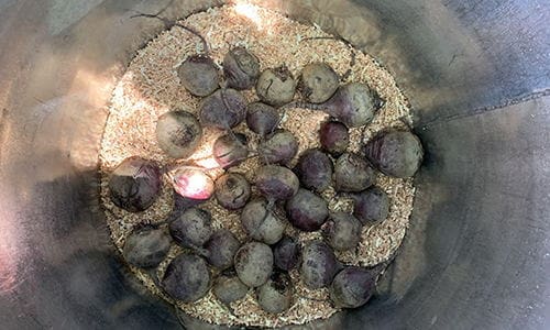 why you should bury a trash can in your backyard