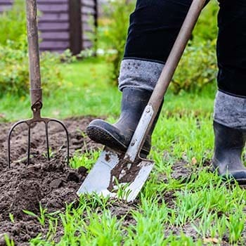 gardening