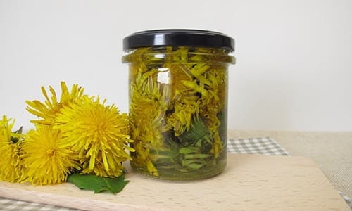 DO THIS with the dandelions growing around your house