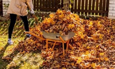 DO NOT Get Rid Of This