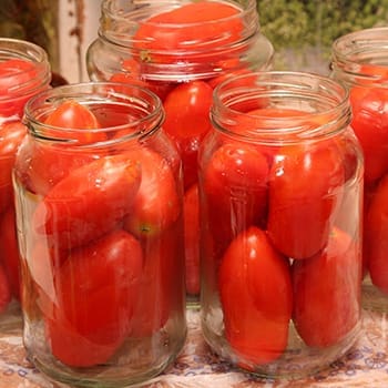 Tomato Preservation Recipes