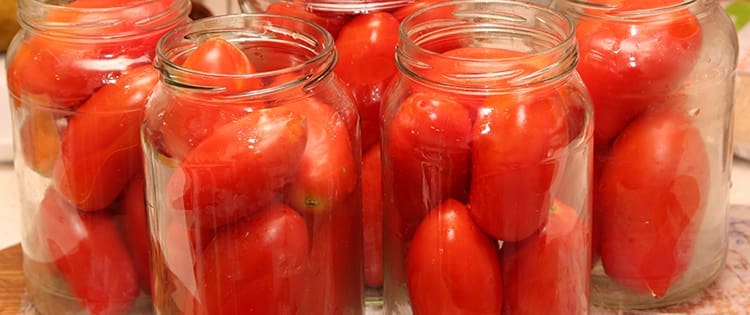 Tomato Preservation Recipes
