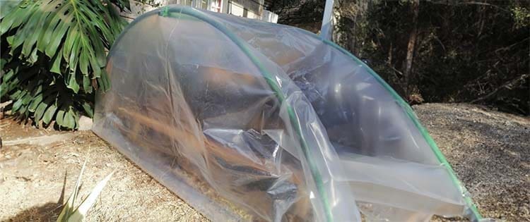 DIY Poor Man’s Greenhouse