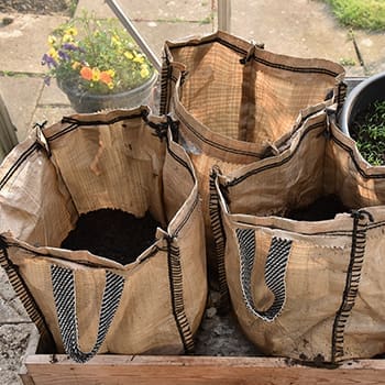 How To Grow An Endless Supply Of Potatoes