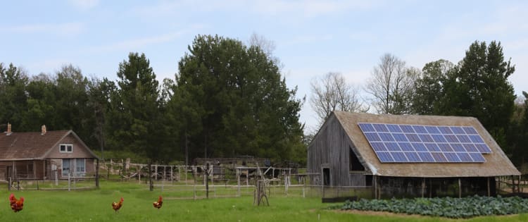 How To Make A Full Income On Your Homestead