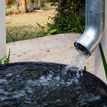 Read This Before Harvesting Rainwater