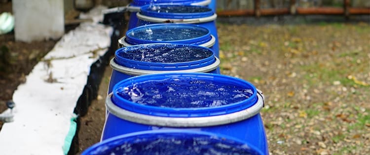 Read This Before Harvesting Rainwater