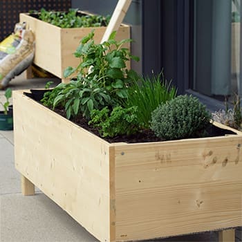 Why I Stopped Using Raised Beds