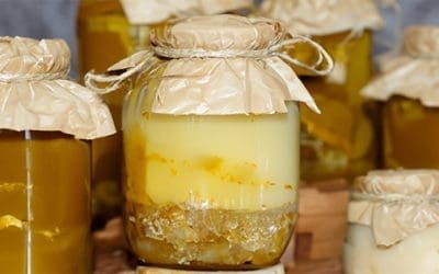 How To Make Long-Lasting Tallow For Survival