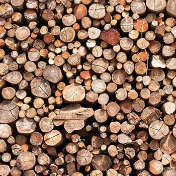 12 Types of Wood You Should Never Burn