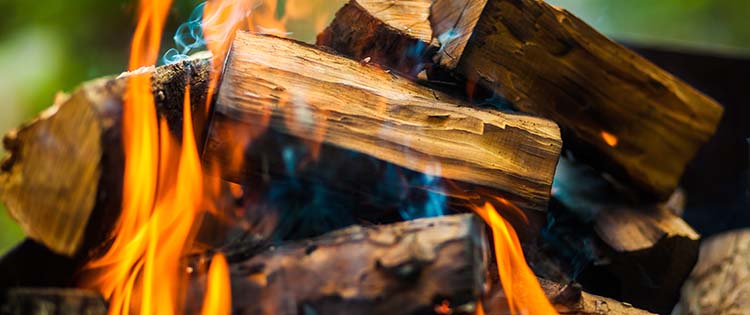 12 Types of Wood You Should Never Burn