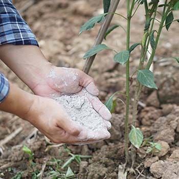 Don't Throw Away Your Wood Ash! Do This Instead