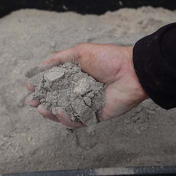 Don't Throw Away Your Wood Ash! Do This Instead