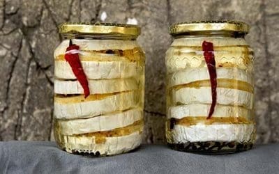 Ingenious Ways To Preserve Cheese At Home