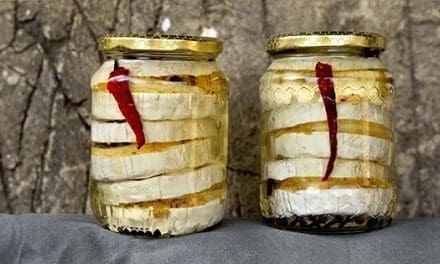 Ingenious Ways To Preserve Cheese At Home