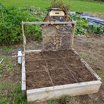 Square Foot Gardening 101