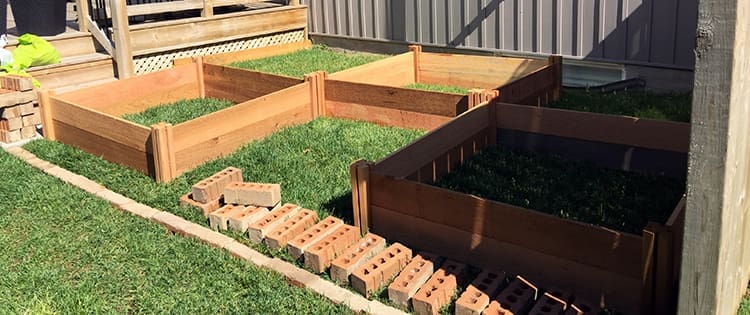 Square Foot Gardening 101