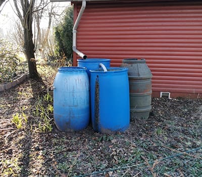Blue Barrel Uses You Never Thought Of - rainwater