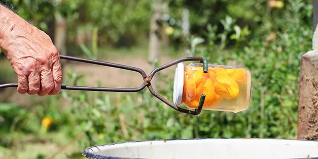 Foods That Are Safe To Preserve In a Water Bath Canner