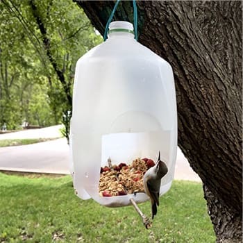 Ingenious Ways To Use Milk Jugs In Your Backyard