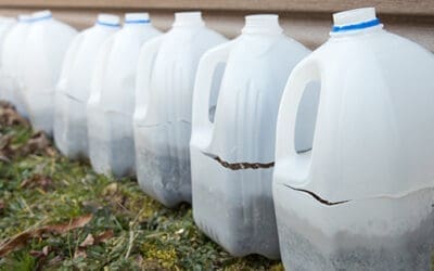 Ingenious Ways To Use Milk Jugs In Your Backyard