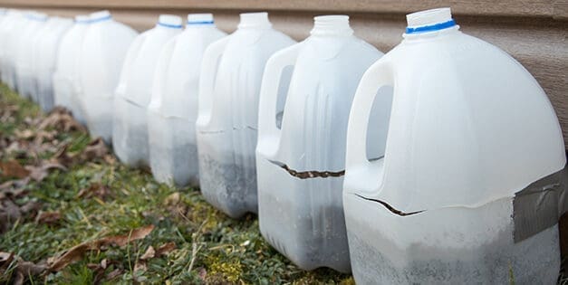 Ingenious Ways To Use Milk Jugs In Your Backyard