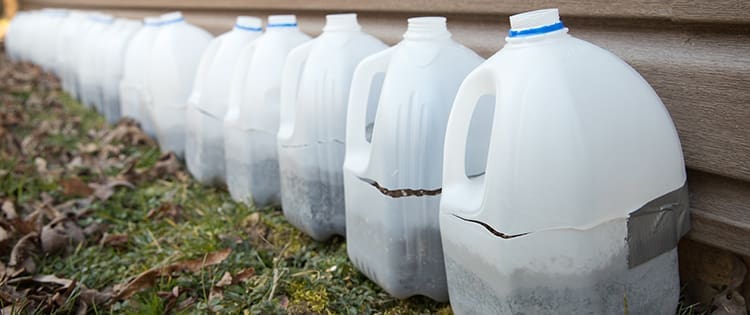 Ingenious Ways To Use Milk Jugs In Your Backyard