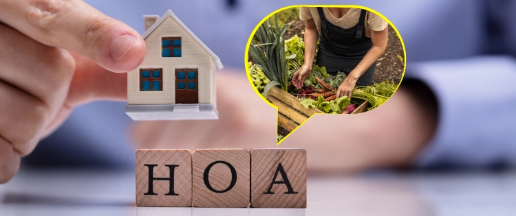 Living In A HOA Zone: Can I Be Self-Sufficient?