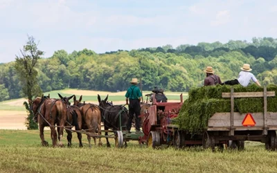 Survival Skills You Should Learn From The Amish